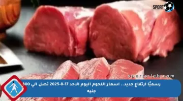 رسميًا ارتفاع جديد.. أسعار اللحوم اليوم الأحد 17-8-2025 تصل إلى 300 جنيه